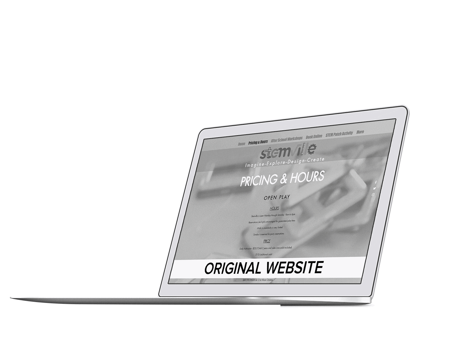 Stemville original website on computer